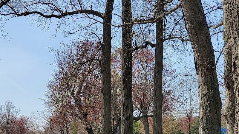Roy Wilkins Park - Jamaica, NY