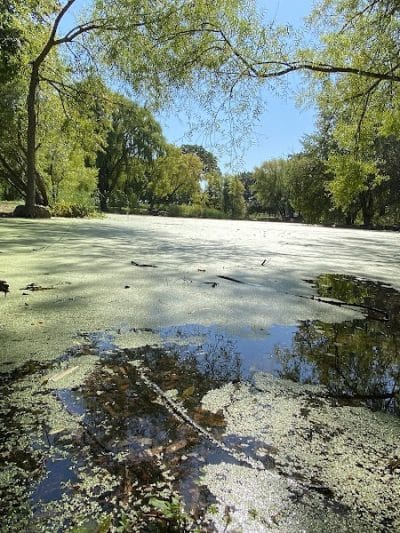 Roy Wilkins Park - Jamaica, NY