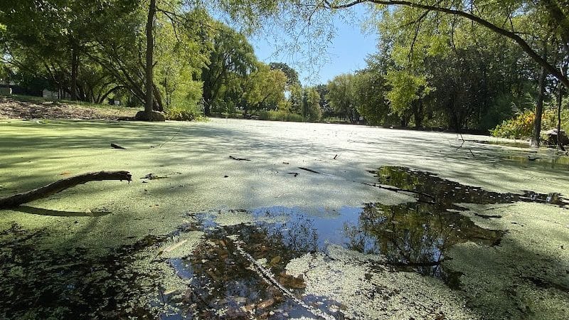 Roy Wilkins Park - Jamaica, NY
