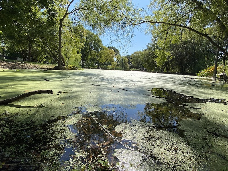 Roy Wilkins Park - Jamaica, NY
