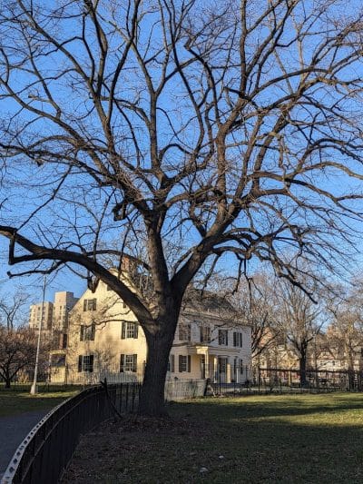 Rufus King Park - Jamaica, NY