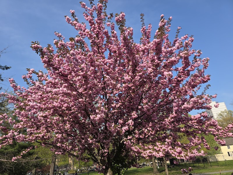Rufus King Park - Jamaica, NY