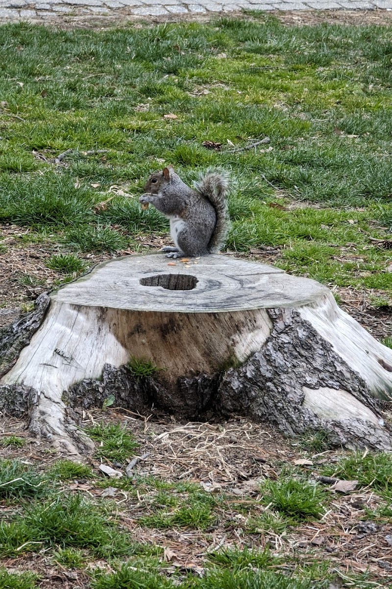 Rufus King Park - Jamaica, NY