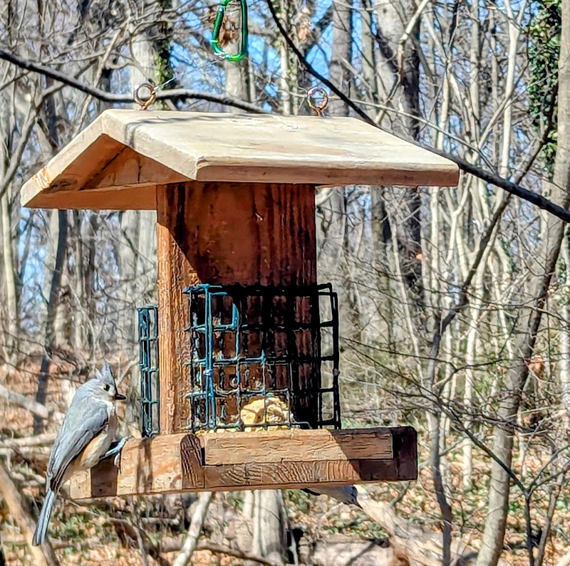Water Hole Trail Head - Jamaica, NY