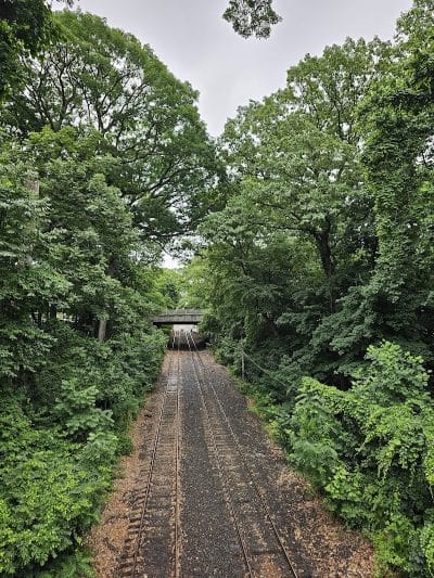 Water Hole Trail Head - Jamaica, NY
