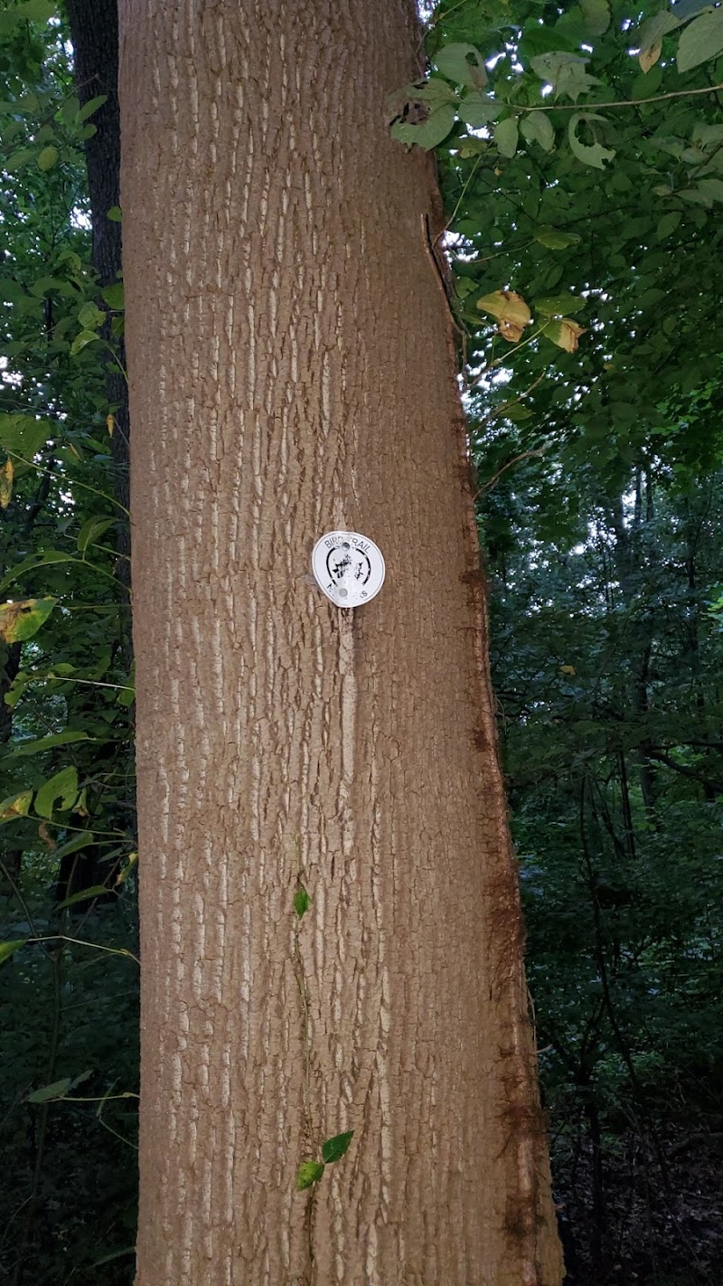 Water Hole Trail Head - Jamaica, NY