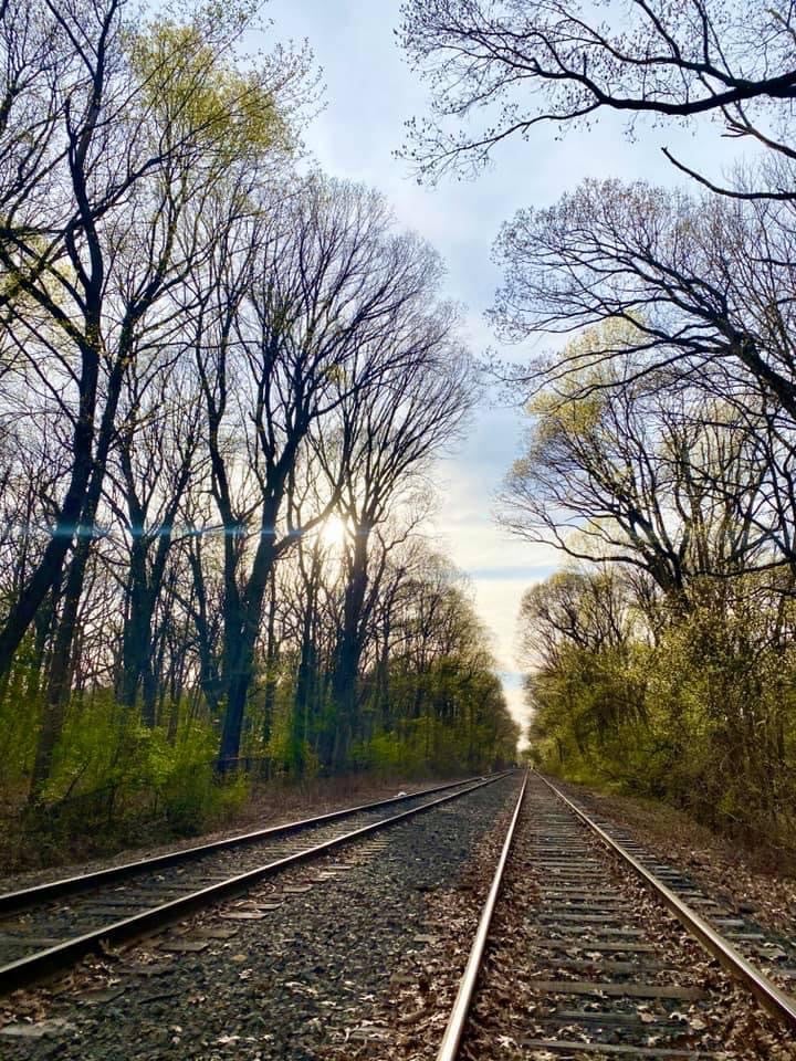 Water Hole Trail Head - Jamaica, NY