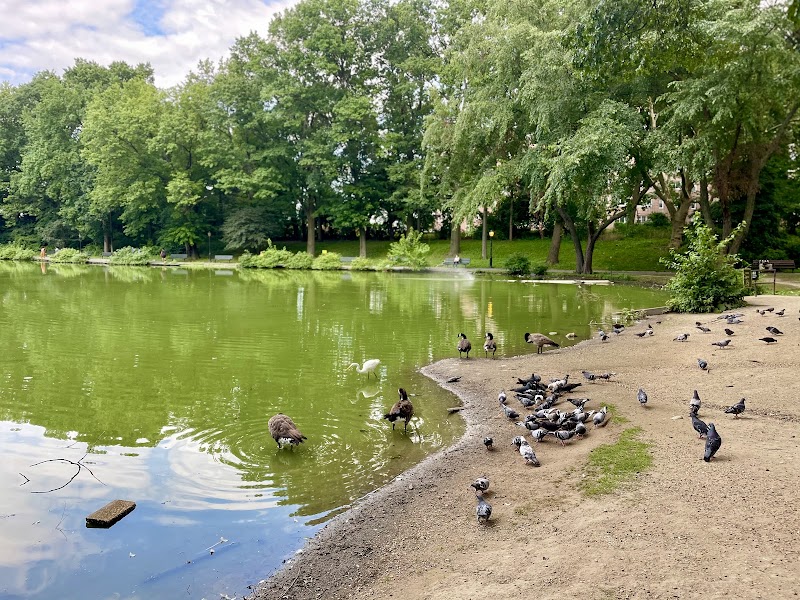 Captain Tilly Park - Jamaica, NY