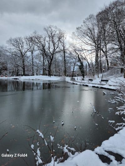 Captain Tilly Park - Jamaica, NY