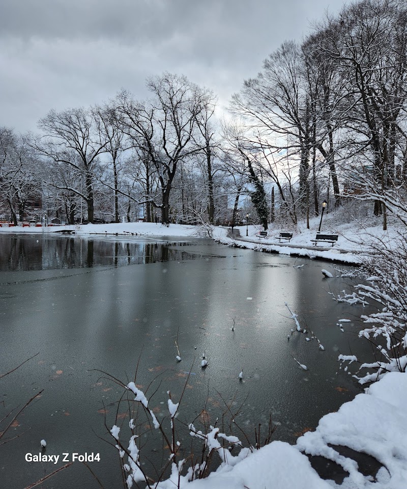 Captain Tilly Park - Jamaica, NY