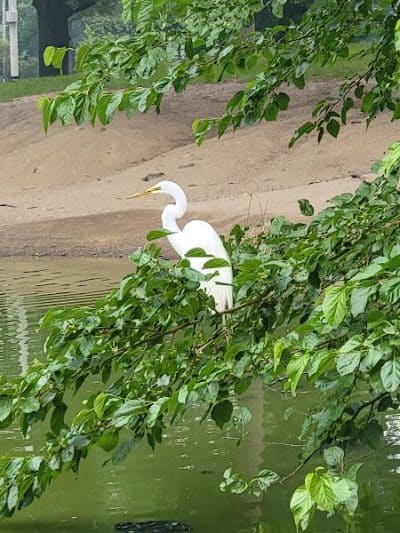 Captain Tilly Park - Jamaica, NY