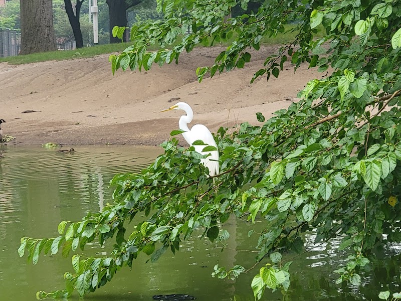 Captain Tilly Park - Jamaica, NY