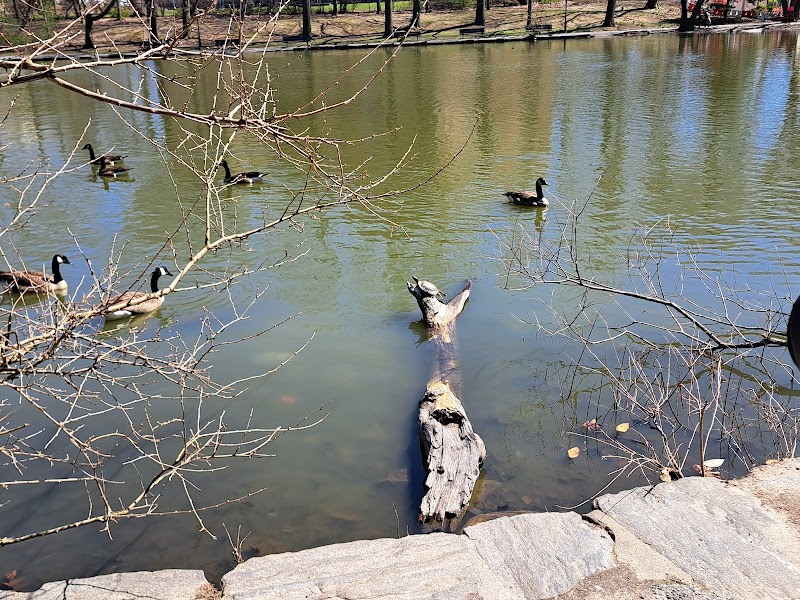 Captain Tilly Park - Jamaica, NY
