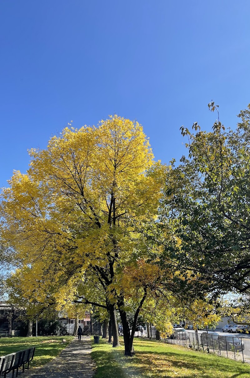 Peters Field - Jamaica, NY