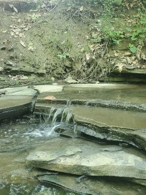 Allen Park