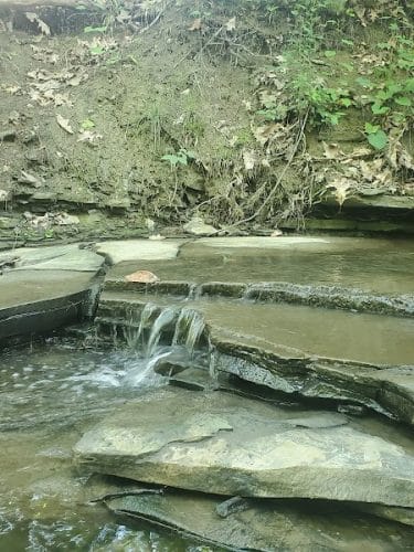 Allen Park