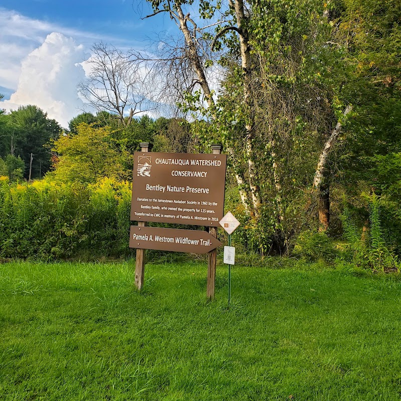Bentley Nature Preserve - Jamestown, NY