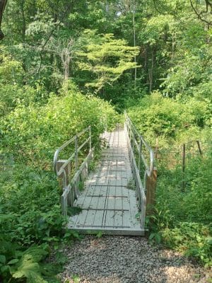 Bentley Nature Preserve