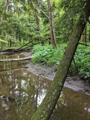 Bentley Nature Preserve
