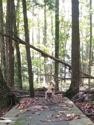 Bentley Nature Preserve