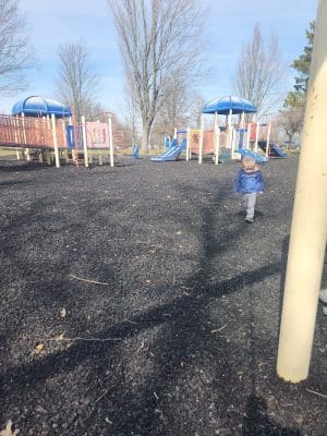 Bergman Park