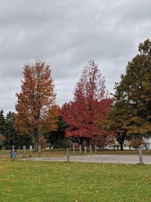 Bergman Park