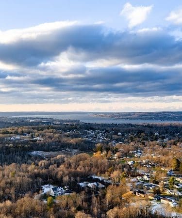 Bergman Park