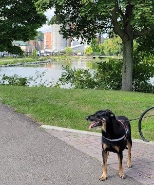 Jamestown River Walk