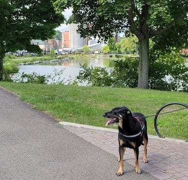 Jamestown River Walk