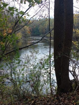 Jones Memorial Park