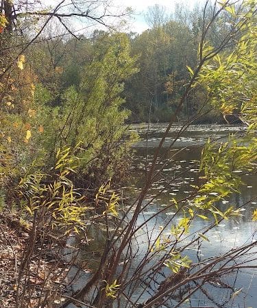 Jones Memorial Park