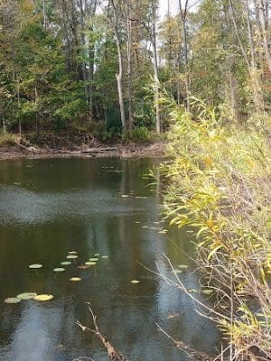 Jones Memorial Park