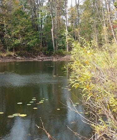Jones Memorial Park