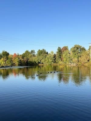 McCrea Point Park & Public Boat Launch