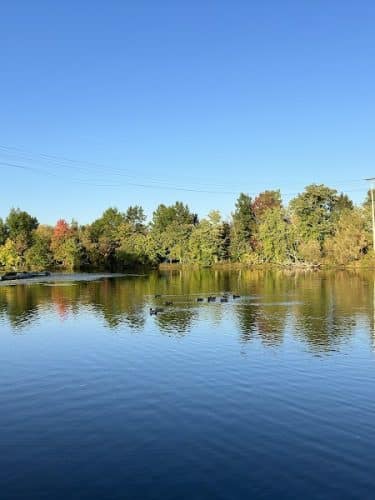 McCrea Point Park & Public Boat Launch