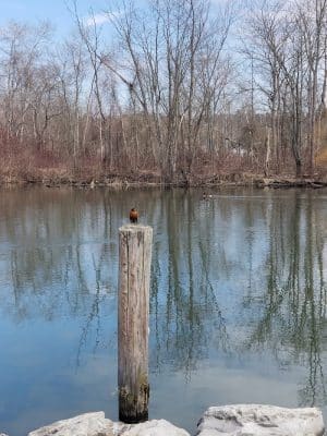McCrea Point Park & Public Boat Launch