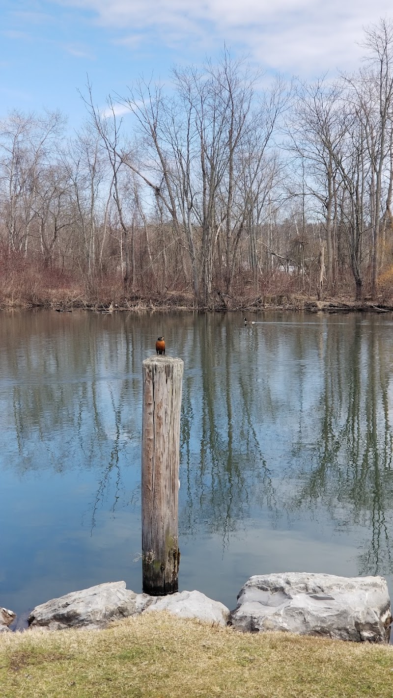McCrea Point Park & Public Boat Launch - Jamestown, NY