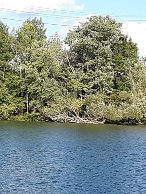 McCrea Point Park & Public Boat Launch