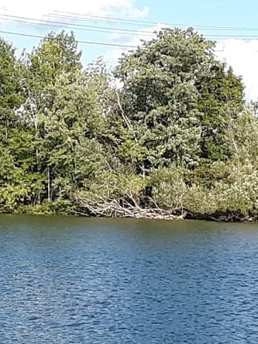 McCrea Point Park & Public Boat Launch