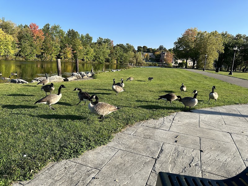 McCrea Point Park & Public Boat Launch - Jamestown, NY