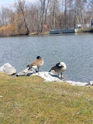 McCrea Point Park & Public Boat Launch
