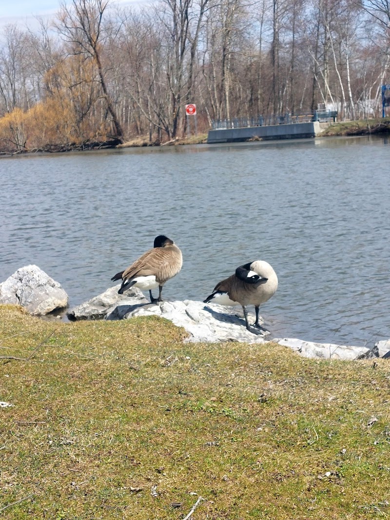 McCrea Point Park & Public Boat Launch - Jamestown, NY