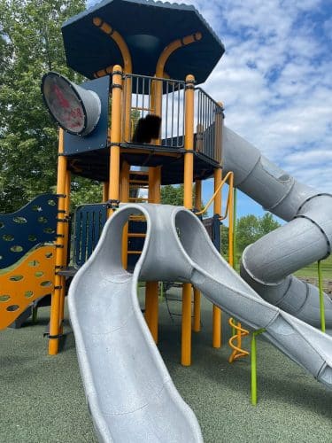 Jackson-Taylor Park
