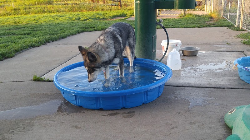 Paw Print Dog Park - Janesville, WI