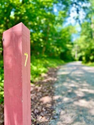 Five Star Trail Mile 7