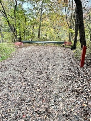 Five Star Trail Mile 7