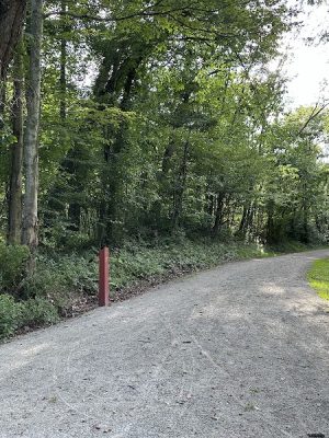 Five Star Trail Mile 7