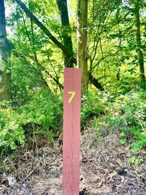 Five Star Trail Mile 7