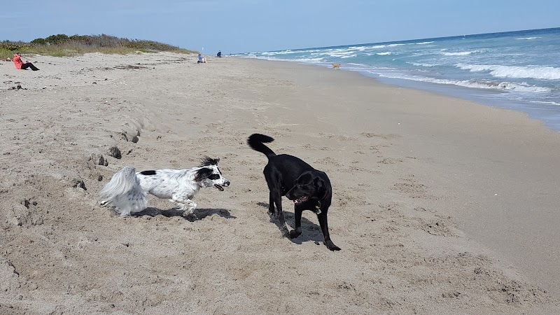 Walton Rocks Beach / Dog Park - Jensen Beach, FL