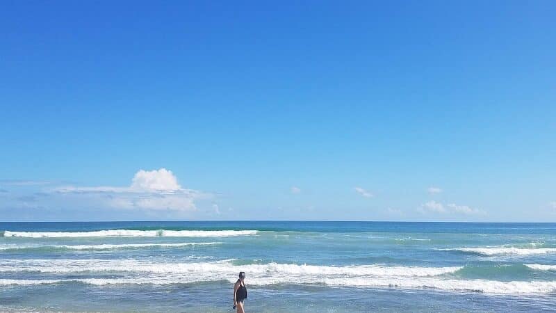 Walton Rocks Beach / Dog Park - Jensen Beach, FL